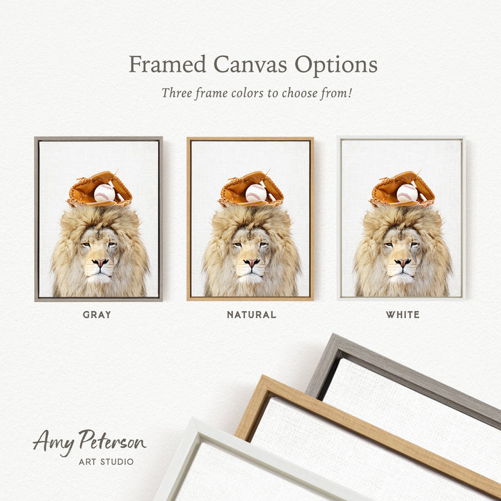 three framed canvas options, each featuring a lion with a baseball hat and glove on its head. The options include a gray frame, a natural frame, and a white frame.