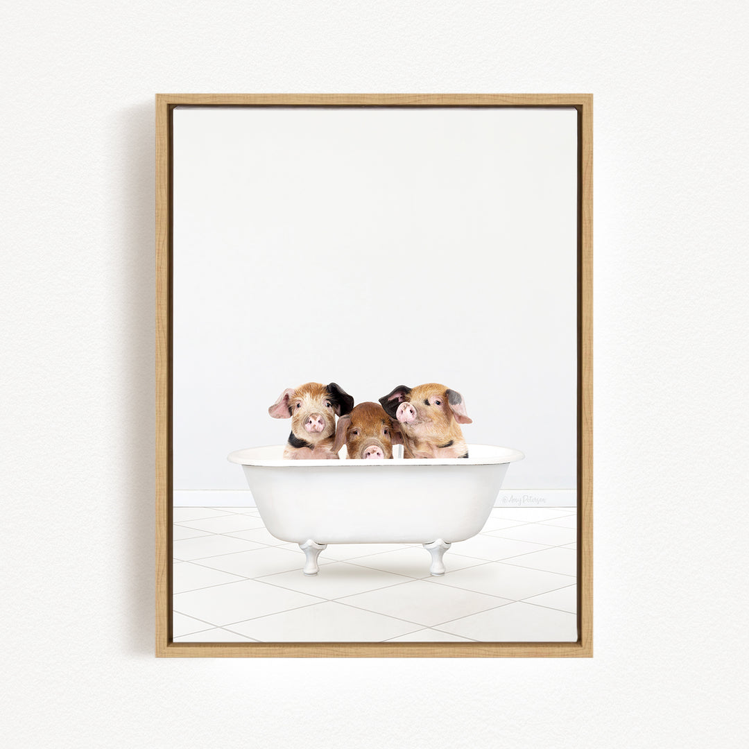 Three adorable pigs sitting in a white bathtub, looking at the camera with curious and playful expressions.