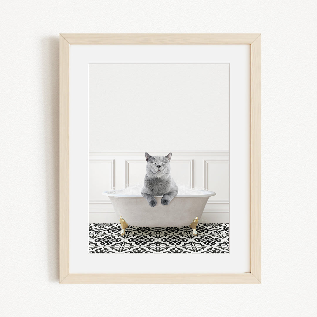 A gray cat sitting in a white bathtub filled with bubbles, with a black and white patterned rug on the floor.
