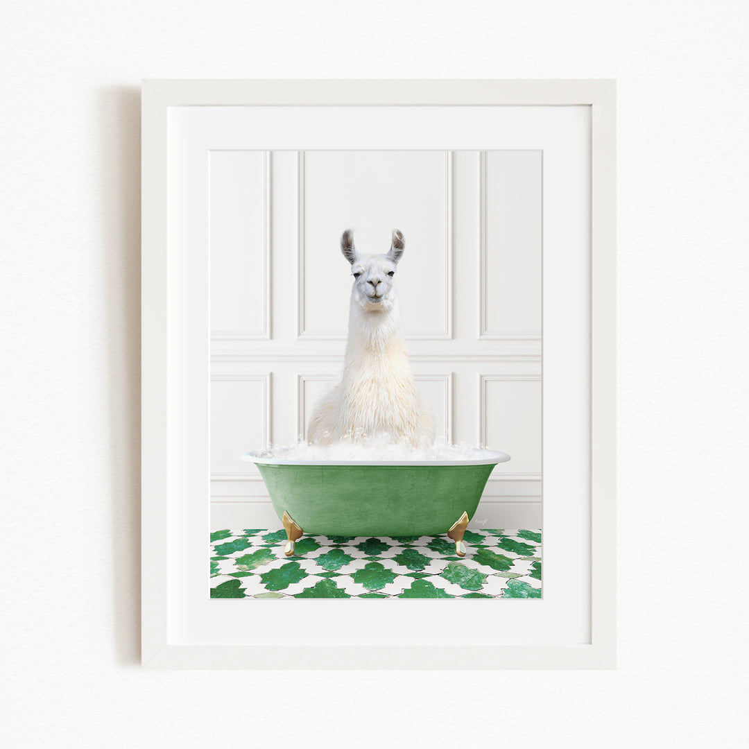 A white llama sitting in a green bathtub filled with bubbles, with a green and white patterned rug on the floor.