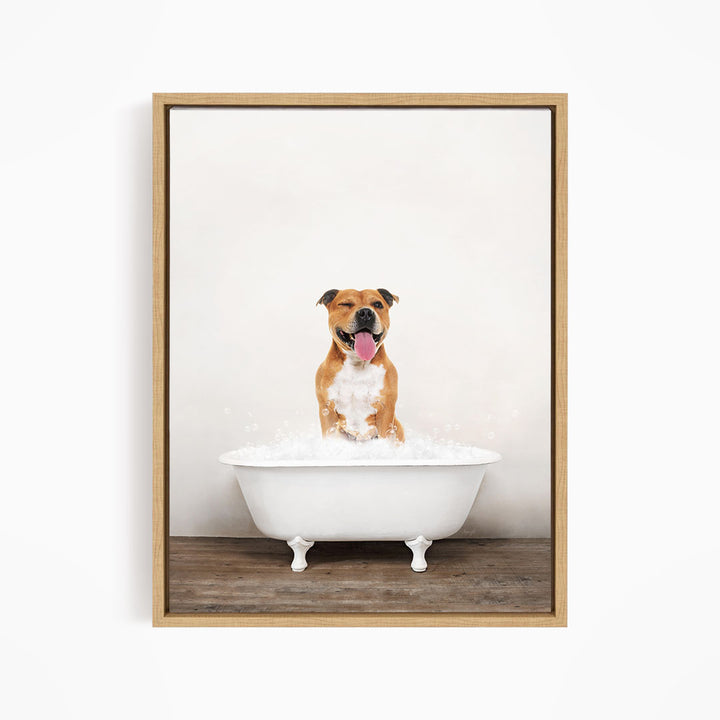 A brown and white dog sitting in a white bathtub filled with water, with its tongue hanging out, appearing to enjoy the bath.