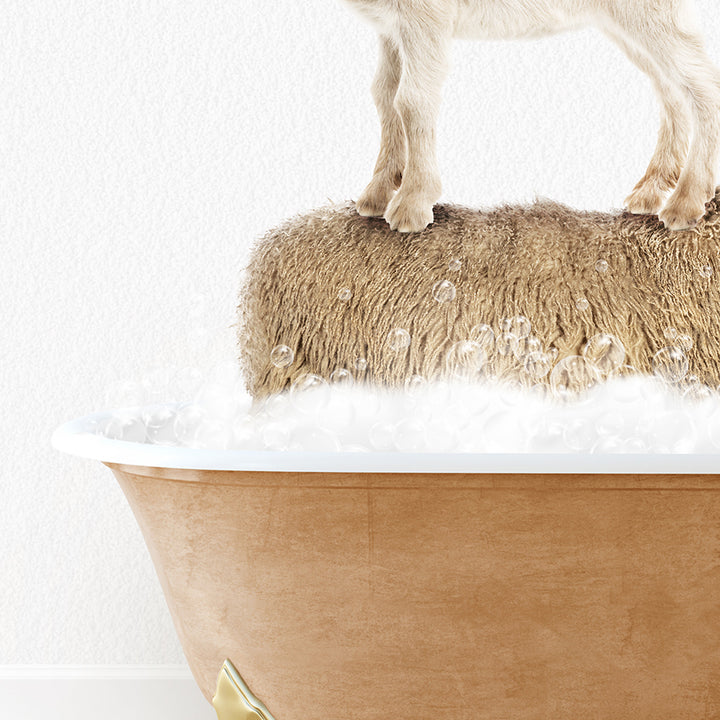 a goat standing on top of a bath tub