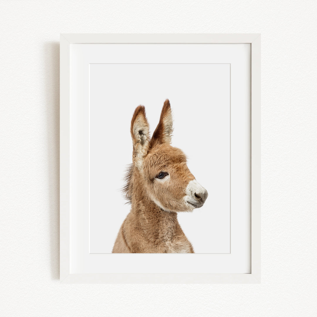 A white-framed picture of a donkey's head, with its distinctive features such as large ears and a small nose clearly visible.