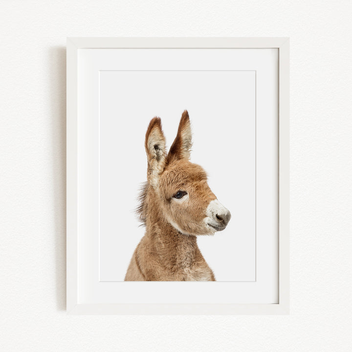 A white-framed picture of a donkey's head, with its distinctive features such as large ears and a small nose clearly visible.