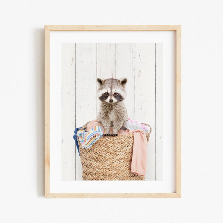 A raccoon sitting in a woven basket filled with clothes and other items.