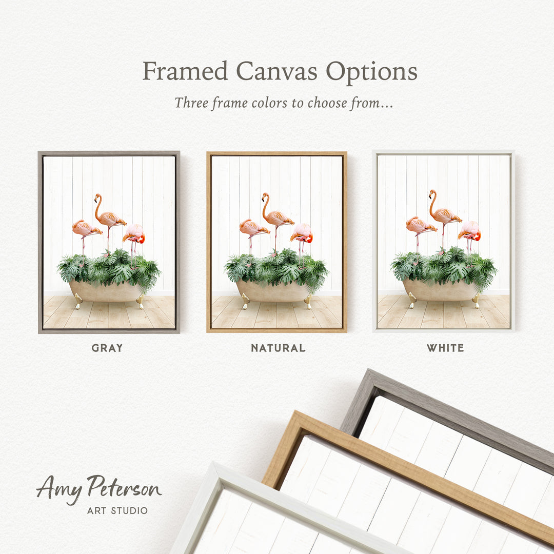 three framed canvas options, each featuring a different color and frame style. The options include a gray frame, a natural frame, and a white frame. The text above the options reads " Framed Canvas Options" and "Three frame colors to choose from...". The text below the options reads "GRY", "NATURAL", and "WHITE". The artist's name, " Amy Peterson ART STUDIO", is also present.