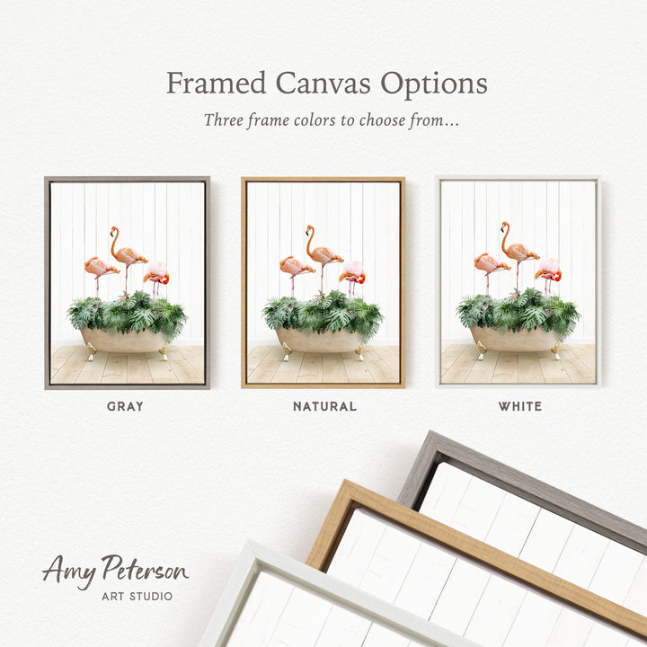 three framed canvas options, each featuring a different color and frame style. The options include a gray frame, a natural frame, and a white frame. The text above the options reads " Framed Canvas Options" and "Three frame colors to choose from...". The text below the options reads "GRY", "NATURAL", and "WHITE". The artist's name, " Amy Peterson ART STUDIO", is also present.