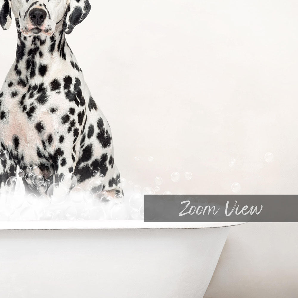 A Dalmatian dog standing in a bathtub filled with bubbles, with the word "Zoom View" written in the bottom right corner.
