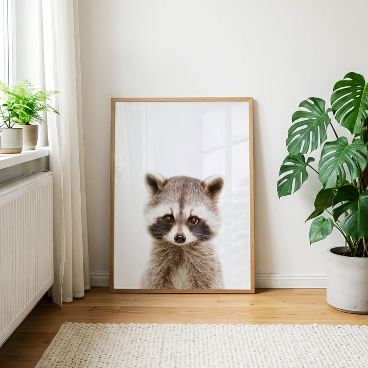 a raccoon in a large framed picture on a white wall, with a potted plant to the right and a window to the left.