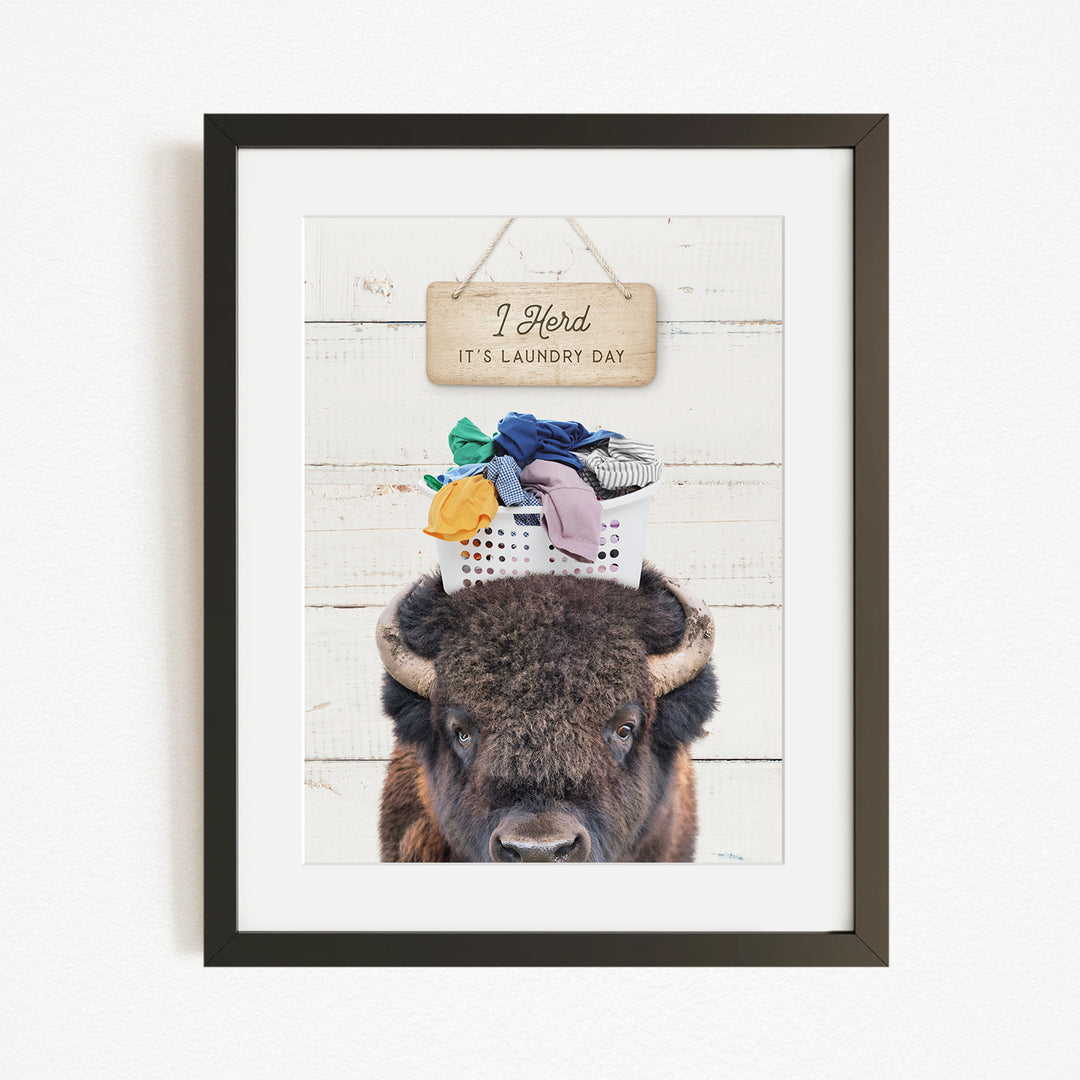 A framed image of a buffalo with a sign above it that says "I herd, it's laundry day".