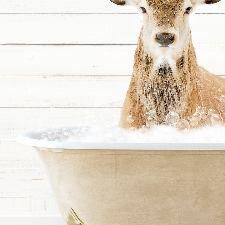 a deer in a bathtub with foam on it