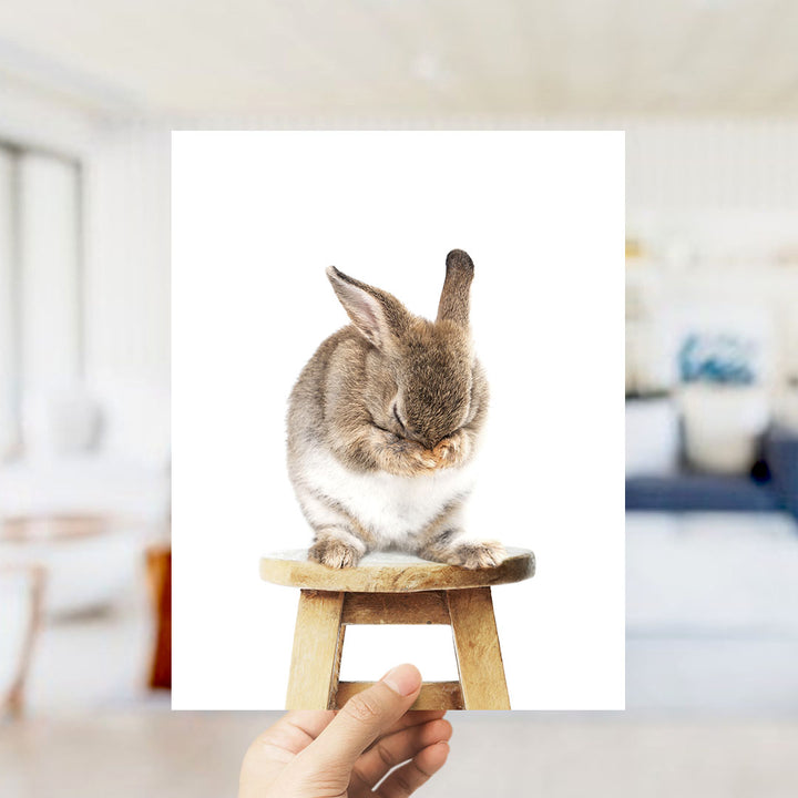 A small brown rabbit sitting on a wooden stool, with its head resting on its paws, in a blurred indoor setting.