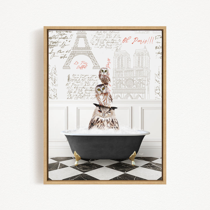 A framed image depicting three owls sitting in a bathtub, with the text "Oh Paris!!!" written above them.
