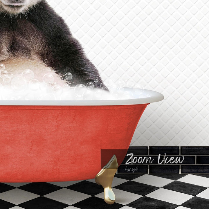 A close-up of a cat's paw in a red bathtub filled with bubbles, with a black and white checkered floor and a text overlay that reads "Zoom View" and "Amiy".
