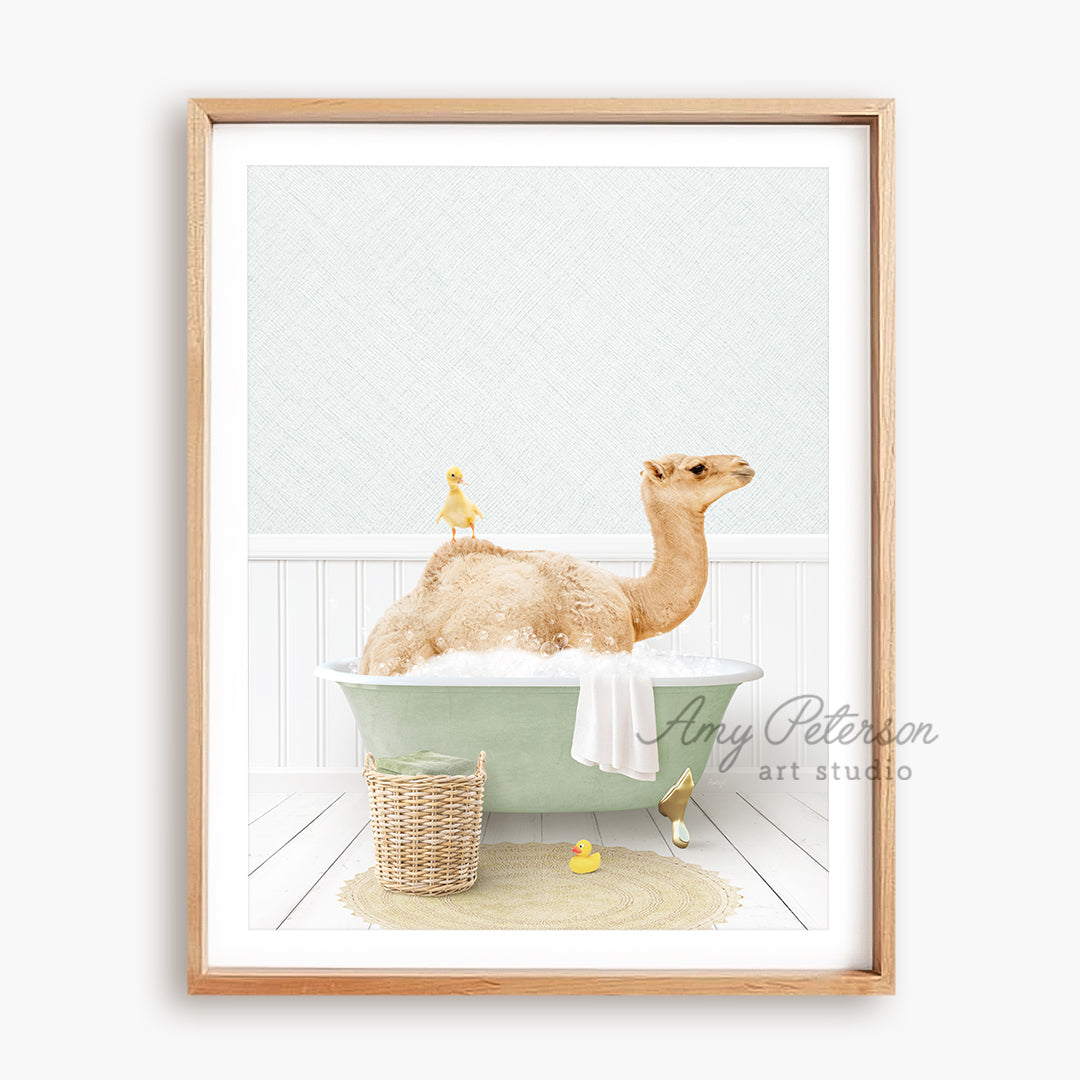 a picture of a camel in a bathtub