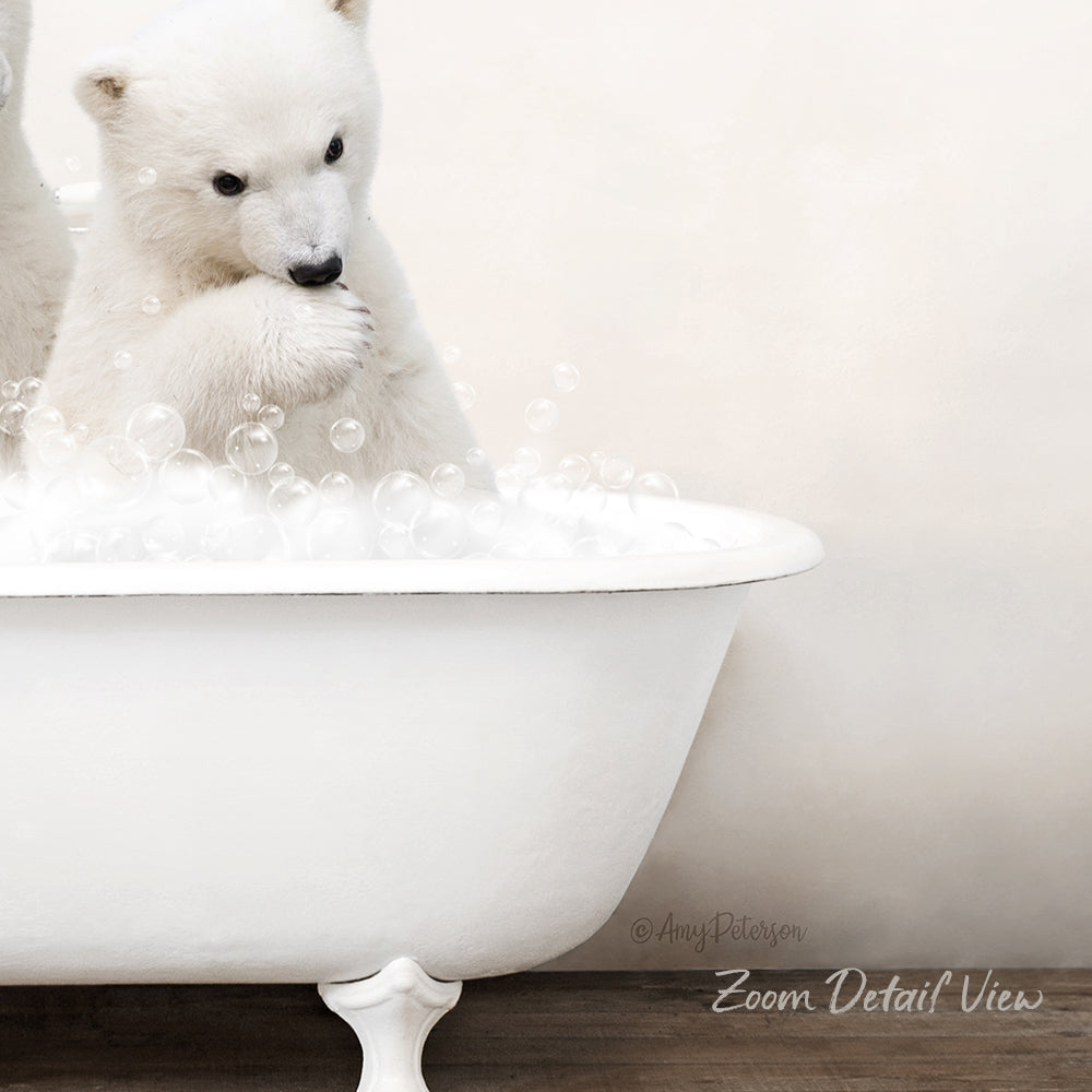 A polar bear cub sitting in a white bathtub filled with bubbles, looking at the camera.