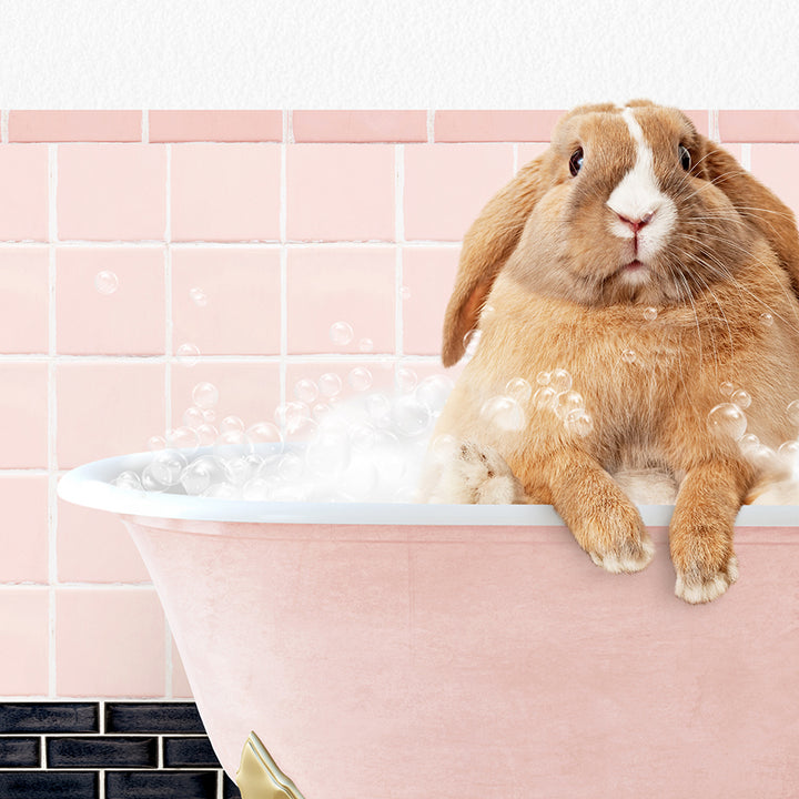 a rabbit sitting in a bathtub full of bubbles