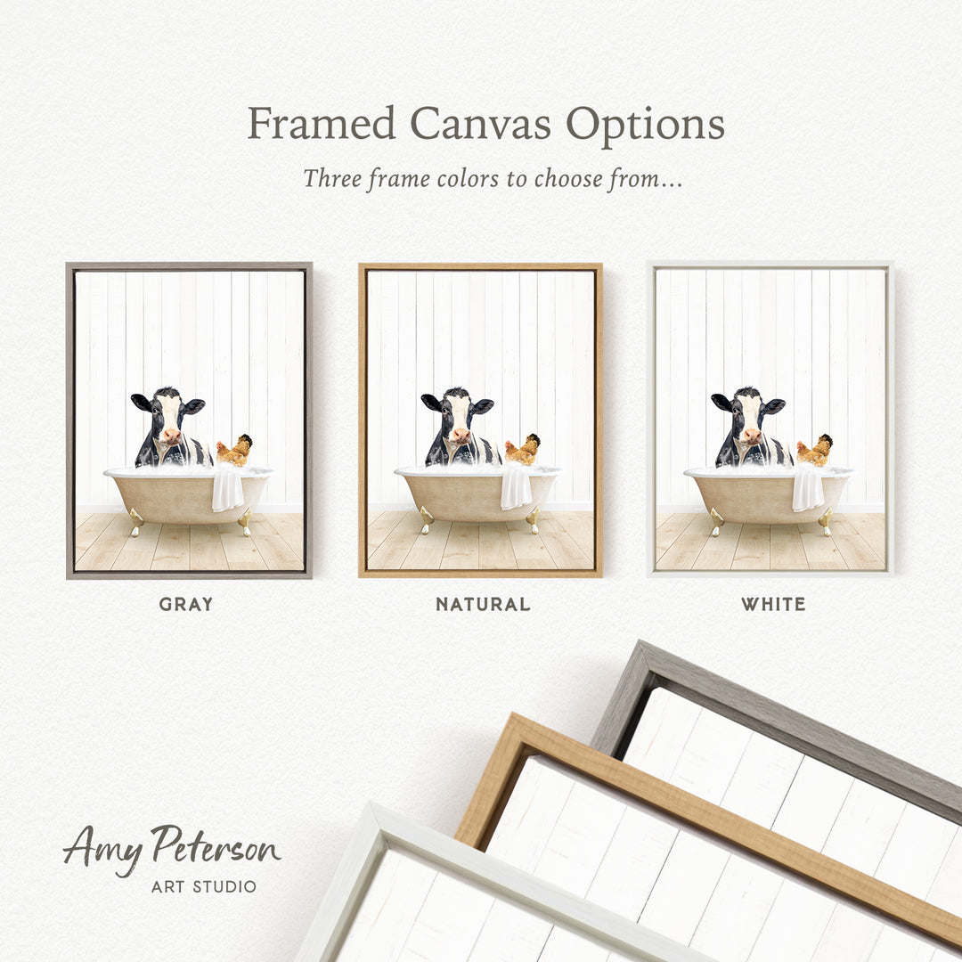 The image is a framed canvas option showcasing three different color options for a painting of a cow in a bathtub, with a chicken nearby.