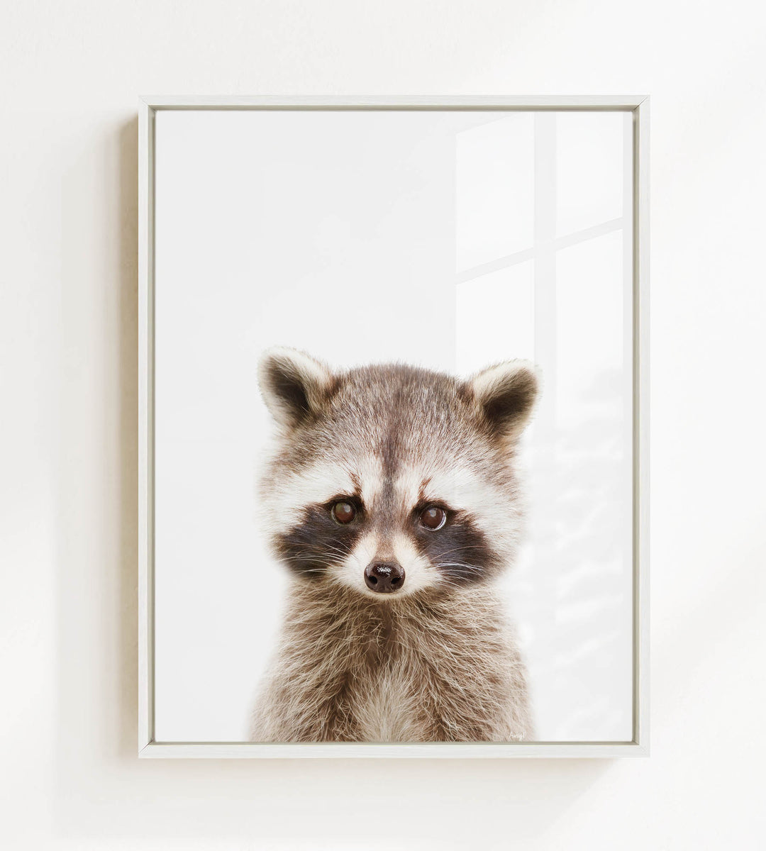 A raccoon with large eyes and a curious expression is the focus of the image.