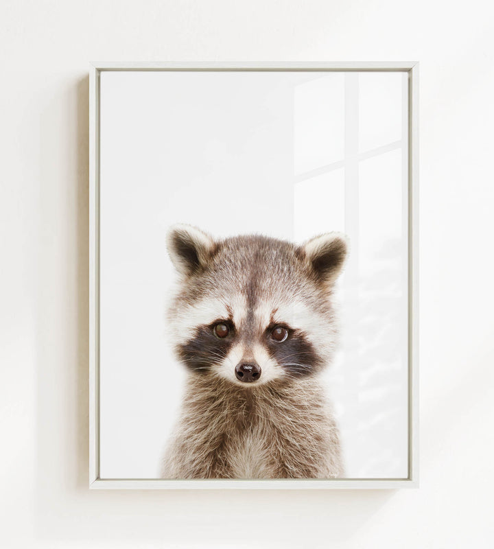 A raccoon with large eyes and a curious expression is the focus of the image.
