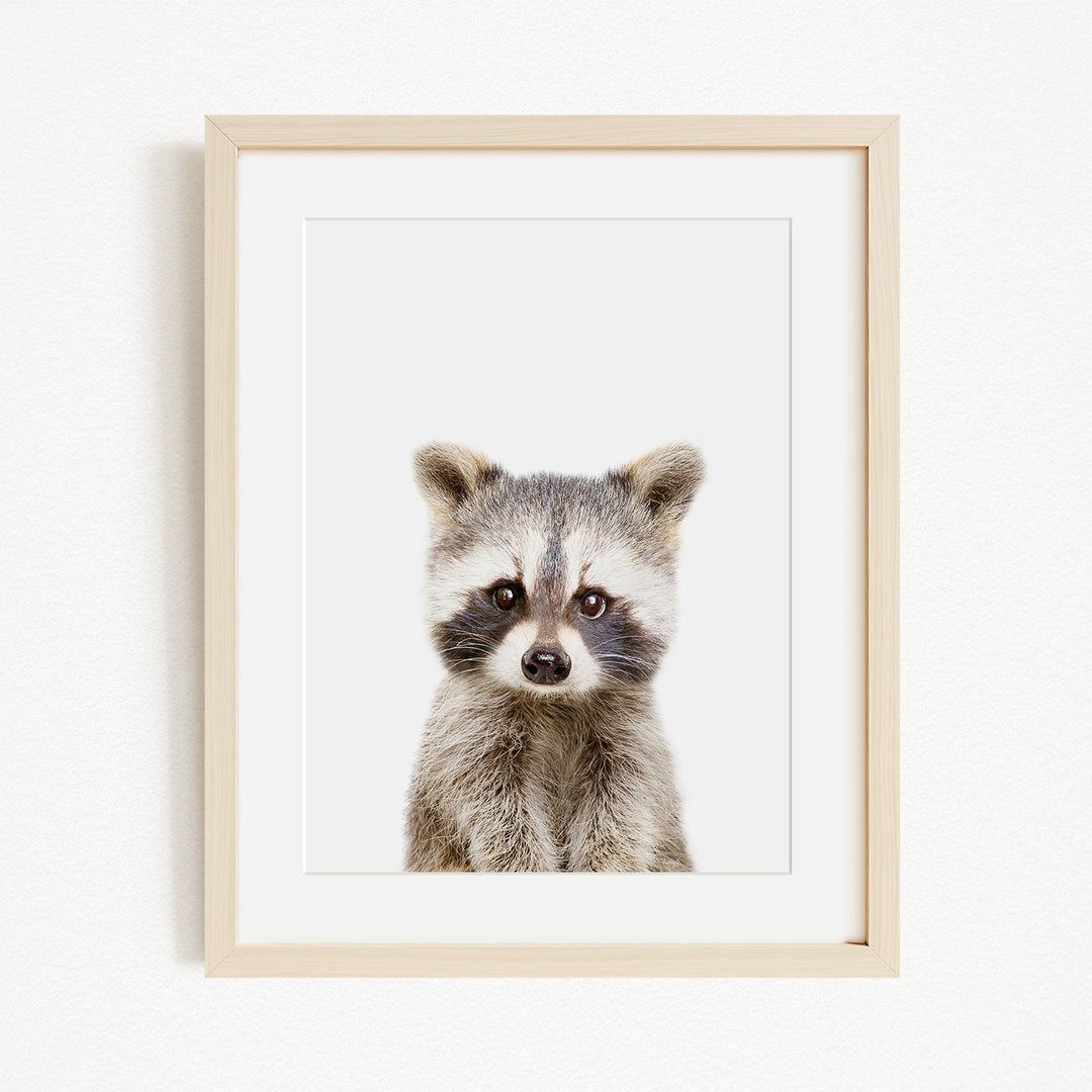 A framed print of a raccoon's face, with its distinctive features such as its large eyes, small nose, and bushy tail clearly visible.