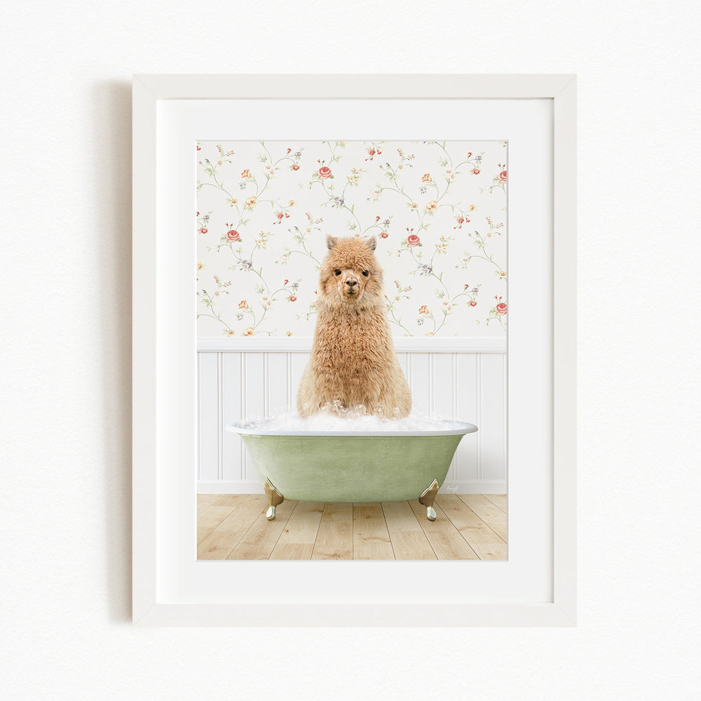 A fluffy brown dog sitting in a green bathtub filled with bubbles, with a floral wallpaper in the background.