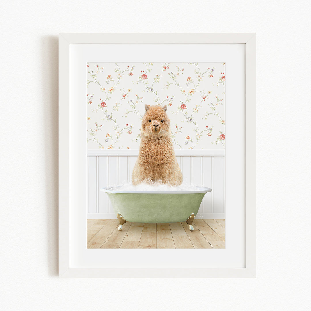 A fluffy brown dog sitting in a green bathtub filled with bubbles, with a floral wallpaper in the background.