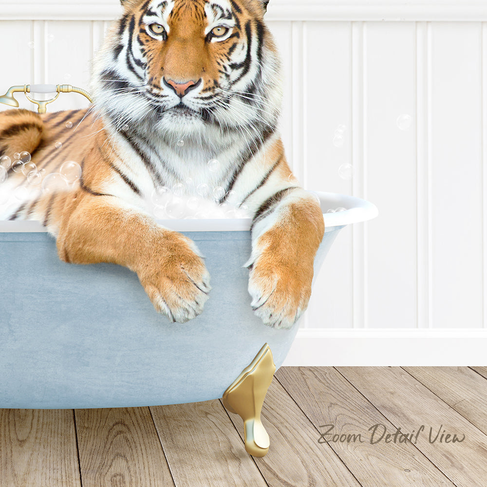 A tiger is sitting in a bathtub filled with water, with its front paws resting on the side of the tub.