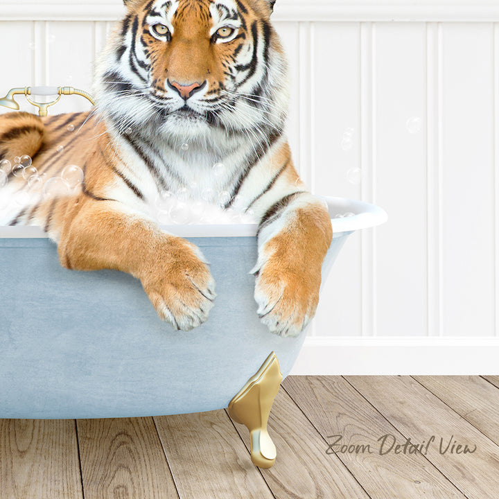 A tiger is sitting in a bathtub filled with water, with its front paws resting on the side of the tub.