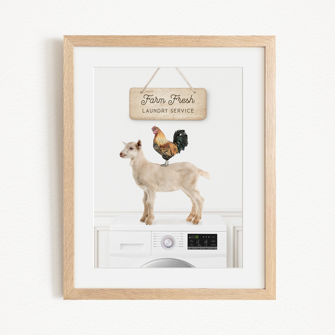 a framed print with a farm-fresh laundry service sign and a rooster perched on a goat.