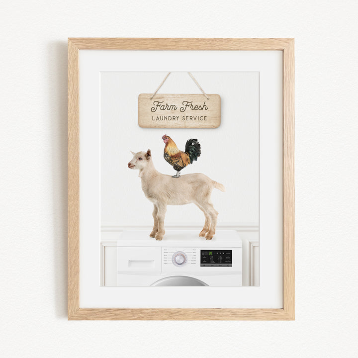 a framed print with a farm-fresh laundry service sign and a rooster perched on a goat.