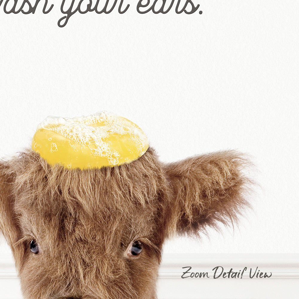 A close-up of a cow's head with a yellow object on its head, against a white background.