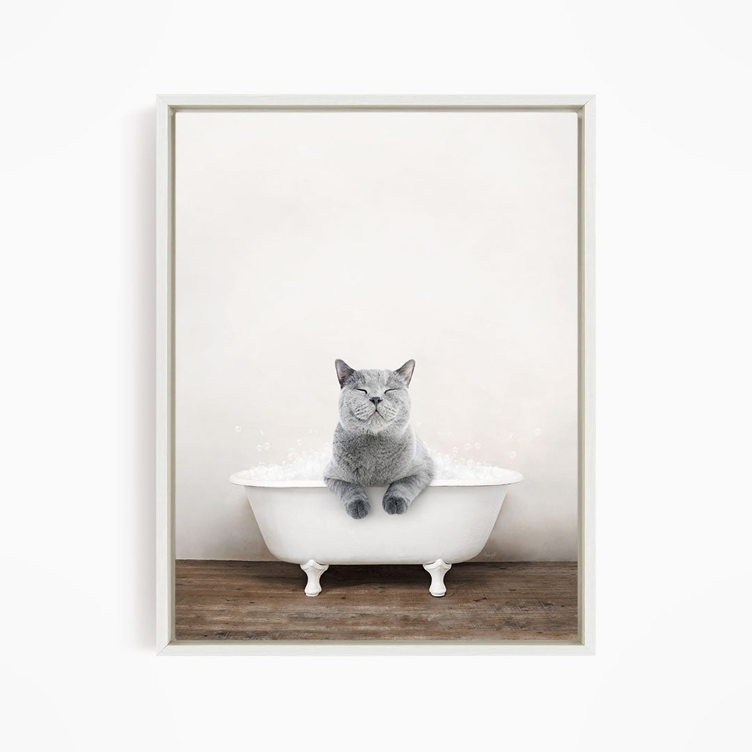 A gray cat sitting in a white bathtub filled with bubbles, looking directly at the camera.
