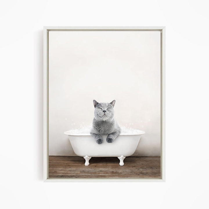 A gray cat sitting in a white bathtub filled with bubbles, looking directly at the camera.