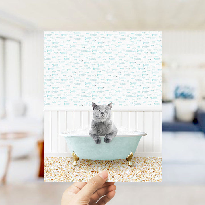 A gray cat sitting in a light blue bathtub filled with bubbles, with a pattern of small fish on the wall behind it.