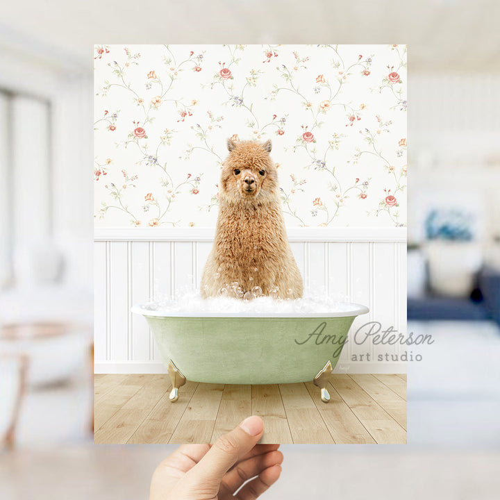 a hand holding a photo of a dog in a bathtub