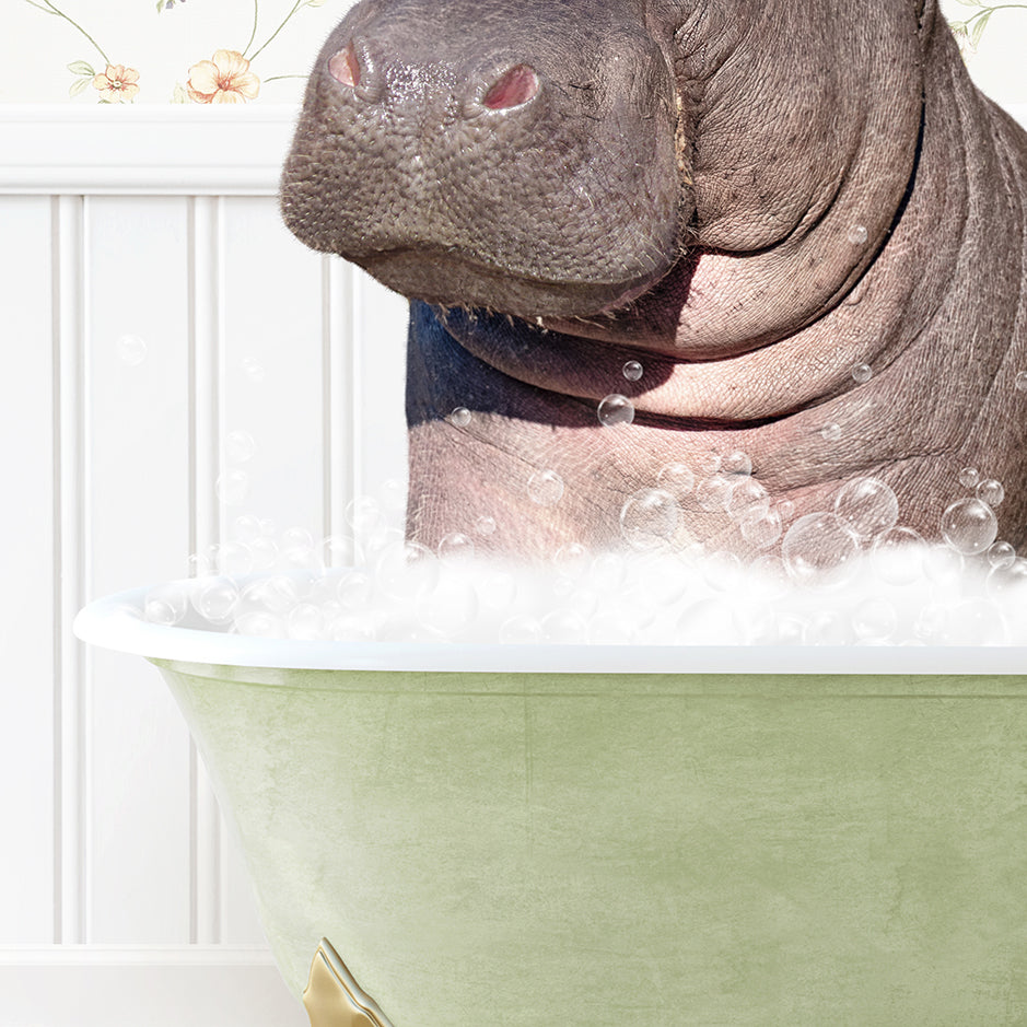 a hippopotamus sitting in a bathtub full of bubbles