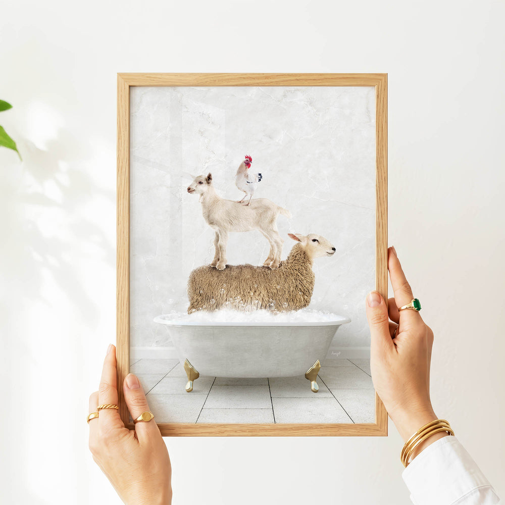 A person's hands are holding a framed picture of a sheep standing on a bathtub, with a chicken perched on top of the sheep.