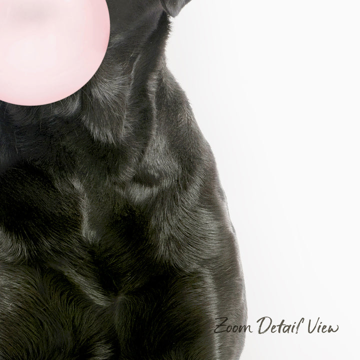 A close-up of a black dog's fur, with a pink bubble gum bubble partially covering the dog's face.