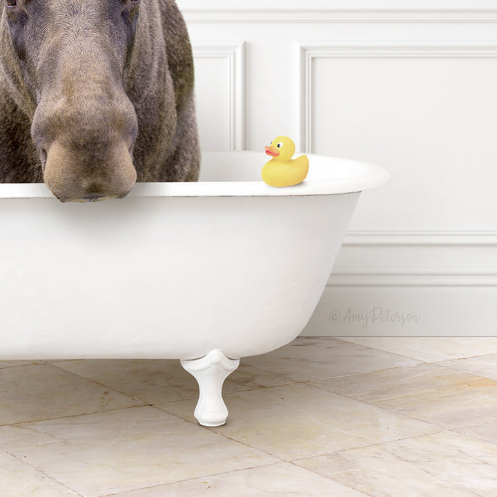 A brown moose stands in a white bathtub, with a yellow rubber duck sitting on the edge of the tub.