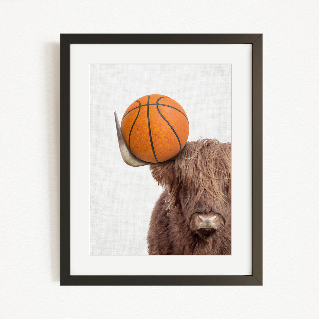 A framed image of a Highland cow holding a basketball on its head.