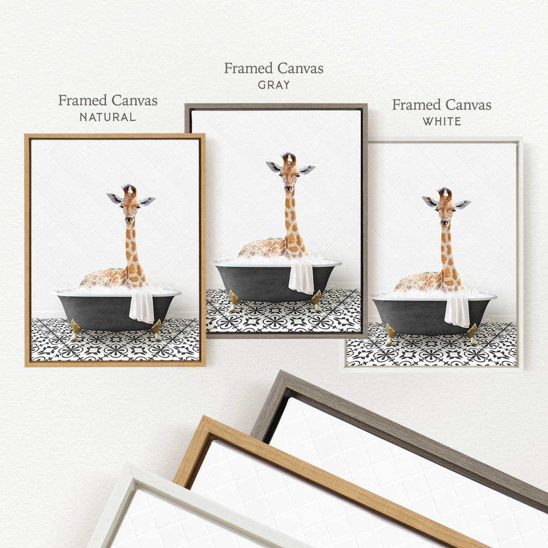 a giraffe sitting in a bathtub, with three framed versions of the image displayed side by side.