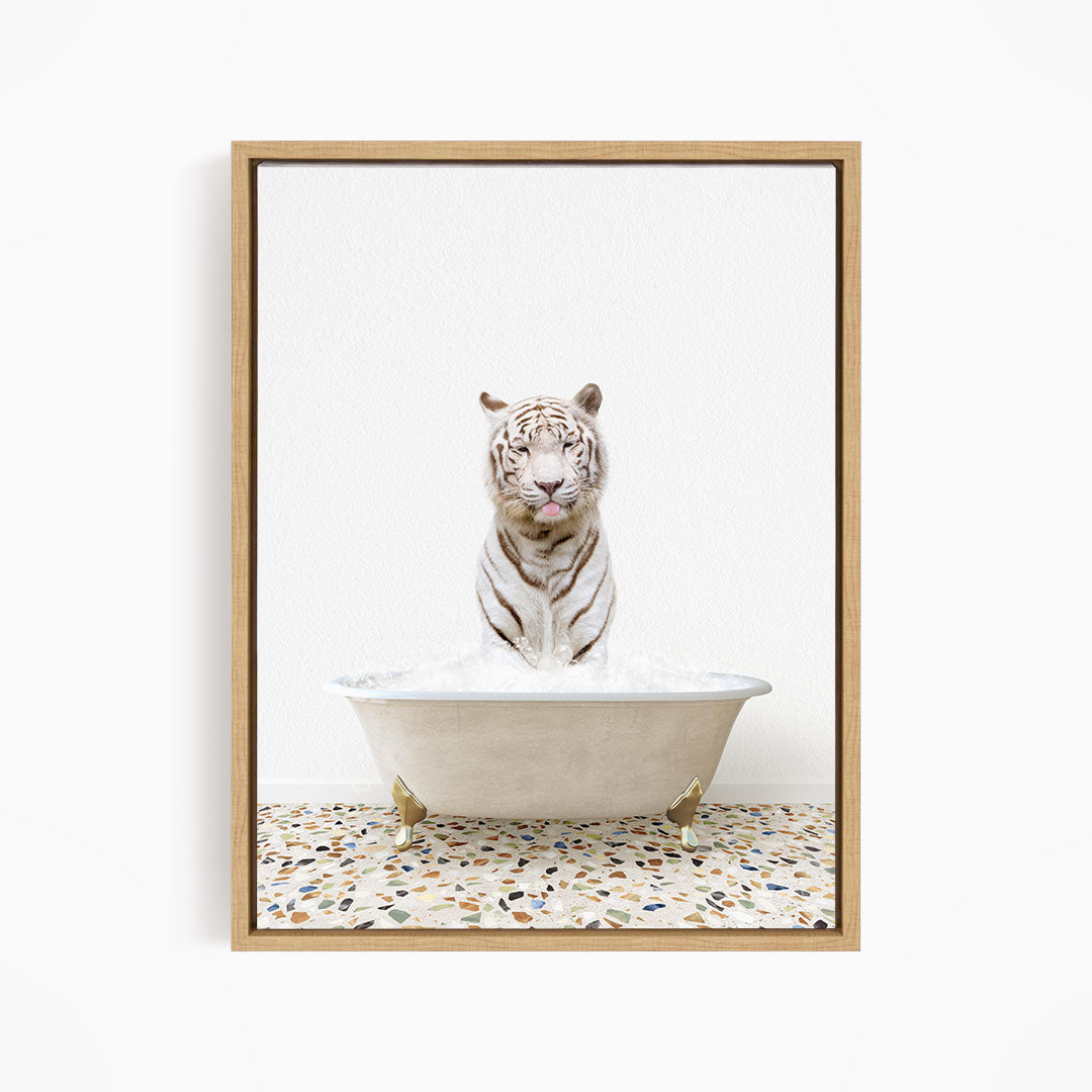 A white tiger is sitting in a white bathtub filled with water, with its mouth open and tongue sticking out.