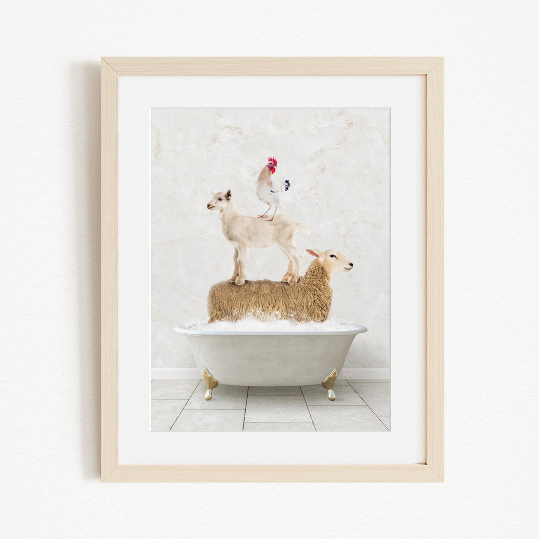 A framed image depicting a goat standing on the back of a sheep in a bathtub, with a rooster perched on top of the sheep.