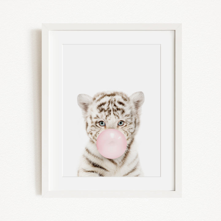 A white tiger with blue eyes is blowing a pink bubble with its mouth, creating a playful and whimsical scene.