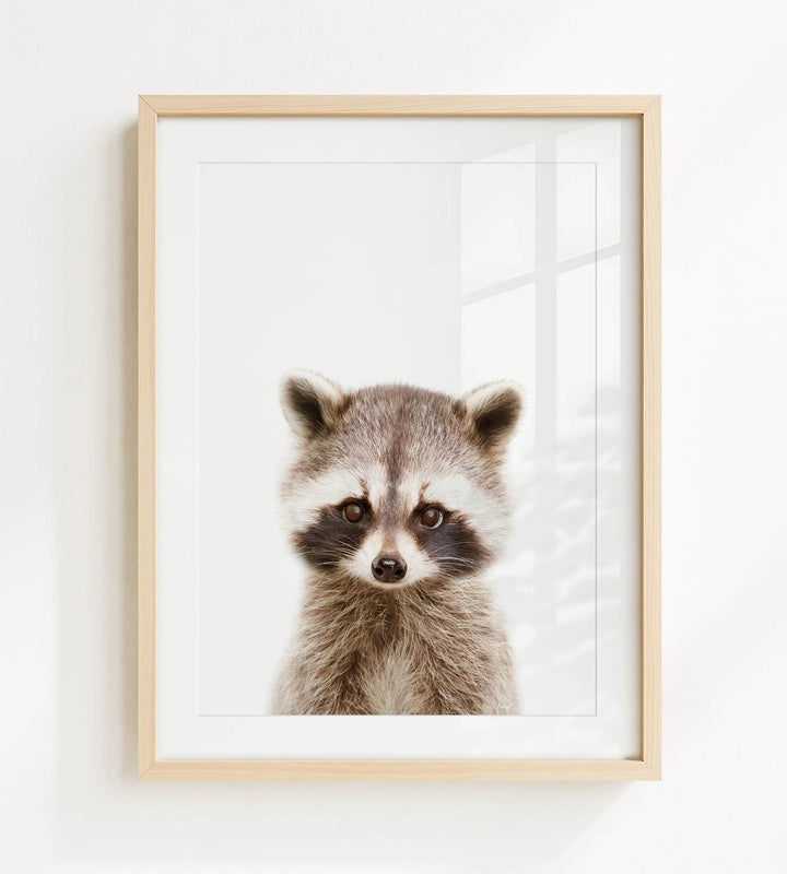 A raccoon with a curious expression is the focus of the framed print displayed on a white wall.