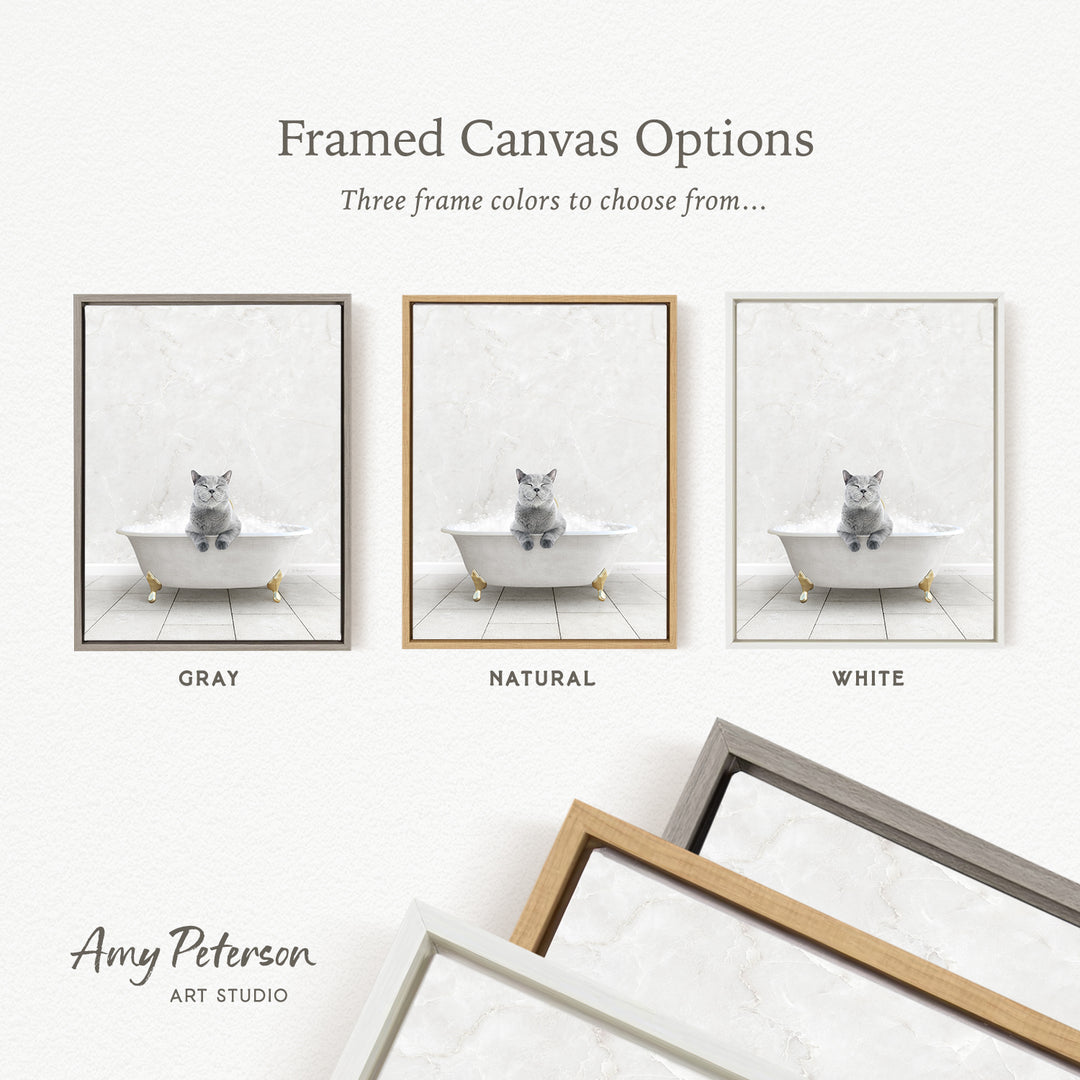 three framed canvas options, each featuring a cat sitting in a bathtub. The options include a gray bathtub, a natural bathtub, and a white bathtub. The text above the images reads " Framed Canvas Options" and "Three frame colors to choose from...".