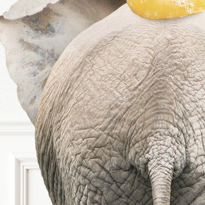 a close up of an elephant with a banana on its back