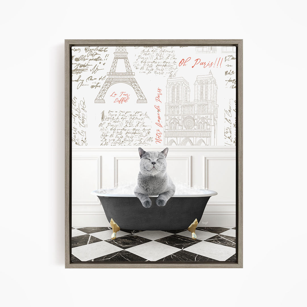 A gray cat sitting in a bathtub filled with bubbles, surrounded by a Paris-themed background with the Eiffel Tower and other landmarks.