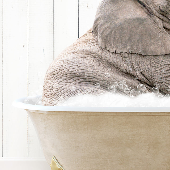 an elephant is taking a bath in a bathtub